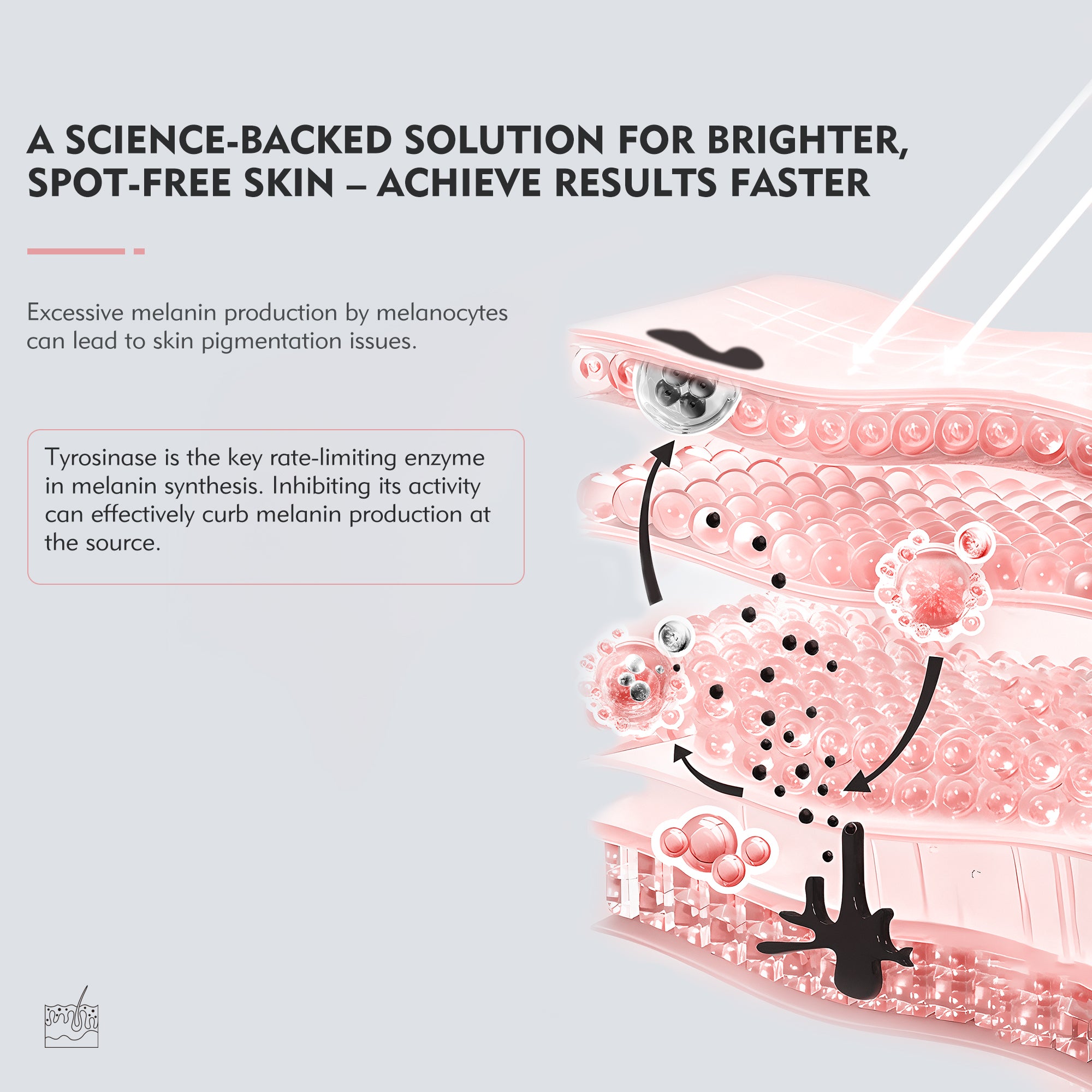 KOSHINÉ KT-939 Anti-Pigment Serum Intensive Dark Spot Reduction & Radiance Booster Suitable for Men and Women