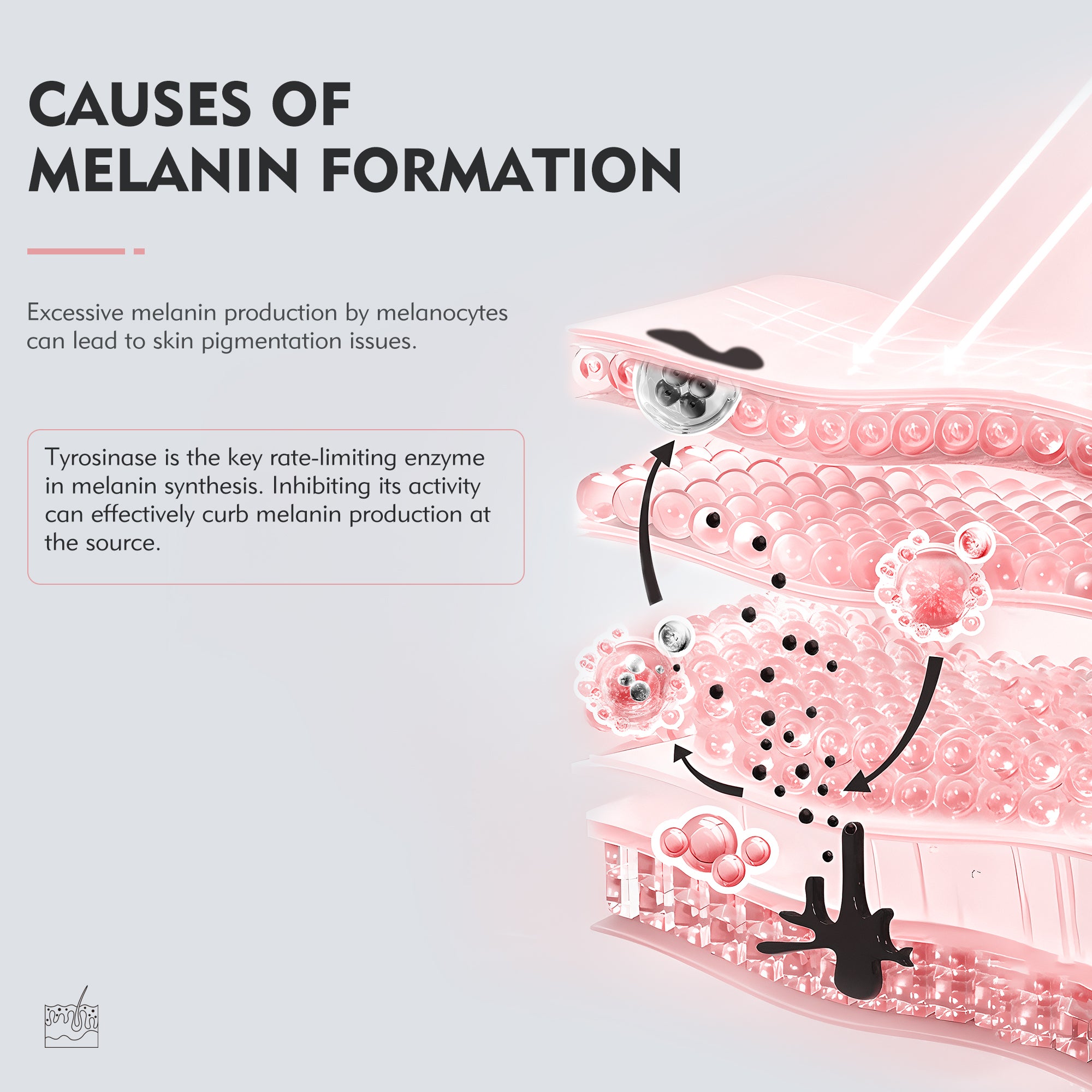 KOSHINÉ KT-939 Anti-Pigment Lotion – Brightening & Dark Spot Corrector Suitable for Men and Women